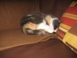 IMG_4524.jpg