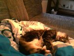 Snapshot_20121219_7.JPG