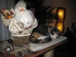IMG_4683.jpg
