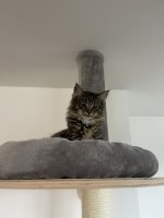IMG_0618.jpeg