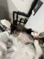 IMG_6996.jpeg