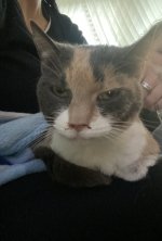 IMG_0078.jpeg