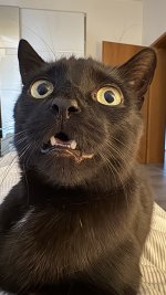 IMG_7265.jpeg