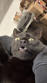 IMG_7261.jpeg
