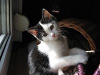 IMG_2330.jpg
