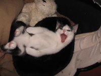 Drehen von IMG_2118.jpg