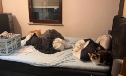 IMG_7421.jpeg
