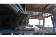 IMG_3804.jpeg