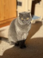 IMG_3285.jpeg