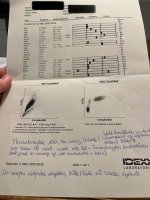 IMG_7727.jpeg
