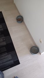 20250305_161852.jpg