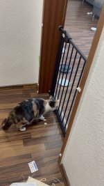 IMG_7550.jpeg