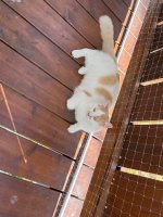 IMG_3852.jpeg