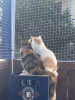 IMG_3856.jpeg