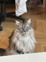 IMG_5247.jpeg