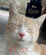IMG_5778.jpeg
