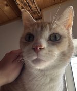 IMG_5855.jpeg