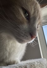 IMG_5854.jpeg