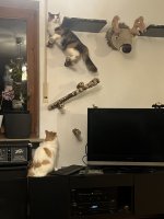 IMG_3878.jpeg
