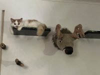 IMG_3881.jpeg