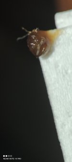 IMG_20250310_014951.jpg