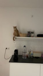IMG_6134.jpeg