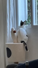 IMG_7103.jpeg