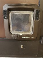 IMG_7853.jpeg