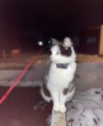 IMG_7054.jpeg