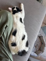 IMG_9291.jpeg