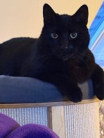 IMG_3983.jpeg