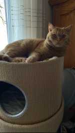 IMG_5477.jpeg