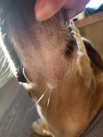 IMG_1059.jpeg