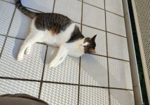 IMG_20250404_165541.jpg
