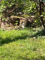 IMG_3832.jpeg