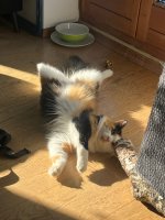 IMG_3959.jpeg