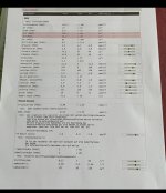 IMG_3734.jpeg