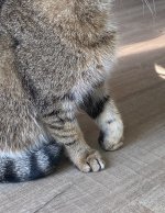 IMG_9935.jpeg