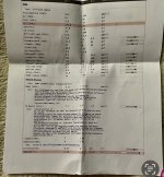 IMG_3732.jpeg