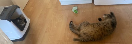 A8CDDB7B-5501-4781-AC25-67C4AA28B5E3.jpeg