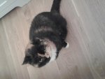 20130114_072659.jpg