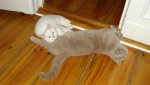 DSC01470.jpg