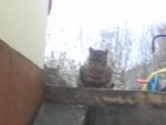 2012-11-17 14.44.40.jpg