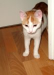 IMG_8529.jpg