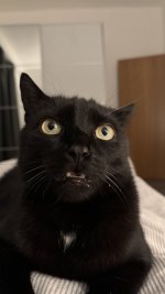 IMG_8029.jpeg