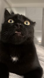 IMG_7999.jpeg