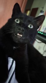 IMG_7827.jpeg