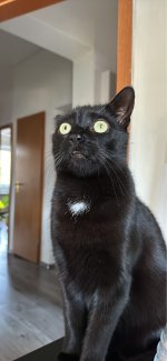 IMG_7797.jpeg