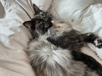 IMG_1986.jpeg