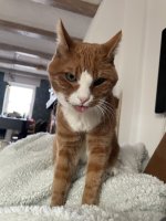 IMG_0787.jpeg